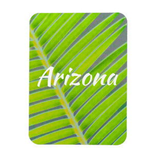 Muster von Palmen, Arizona Magnet