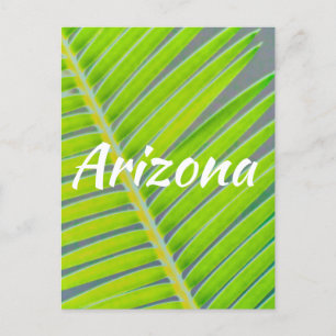 Muster von Palmen, Arizona Postkarte