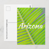 Muster von Palmen, Arizona Postkarte (Vorne/Hinten)