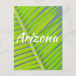 Muster von Palmen, Arizona Postkarte