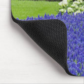 Muster von Traubentrester, Tulpen und 3 Mousepad (Ecke)