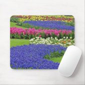 Muster von Traubentrester, Tulpen und 3 Mousepad (Mit Mouse)