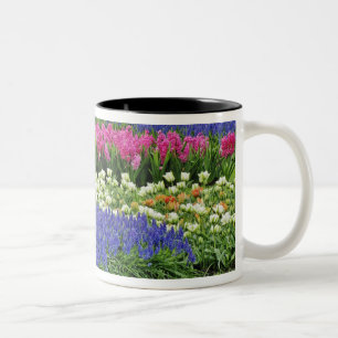 Muster von Traubentrester, Tulpen und 3 Zweifarbige Tasse