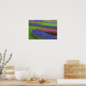 Muster von Traubentreu, Tulpen und Poster (Küche)