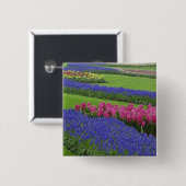 Muster von Traubenzucker, Tulpen und Button (Vorne & Hinten)