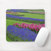 Muster von Traubenzucker, Tulpen und Mousepad (Mit Mouse)