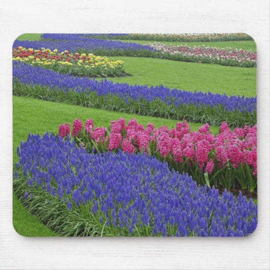 Muster von Traubenzucker, Tulpen und Mousepad (Vorne)