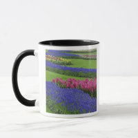 Muster von Traubenzucker, Tulpen und