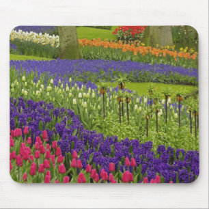 Muster von Tulpen Hyazinth und TraubenHyazinth Mousepad