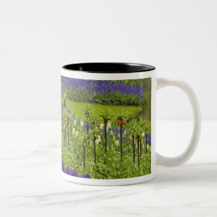 Muster von Tulpen Hyazinth und TraubenHyazinth Zweifarbige Tasse