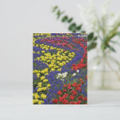 Muster von Tulpen und Blume von Traubenzucker, 2 Postkarte (Stehend Vorderseite)
