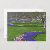 Muster von Tulpen und Blume von Traubenzucker, 4 Postkarte (Vorne/Hinten)