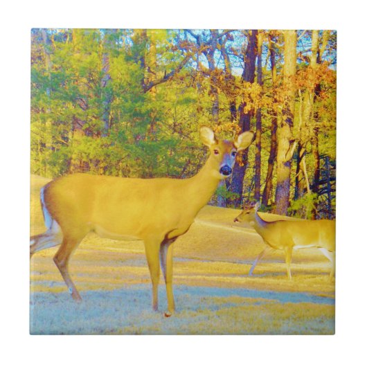 Musturd Colored Deer mit hellblau Fliese (Vorderseite)
