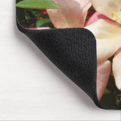 Mutabilis Rose Mousepad (Ecke)