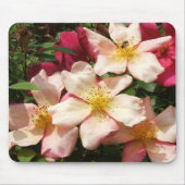 Mutabilis Rose Mousepad (Vorne)