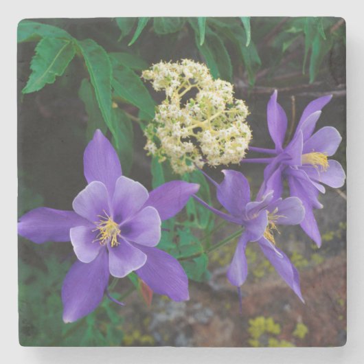 Mutant-Columbine-Wildblumen Steinuntersetzer (Vorderseite)