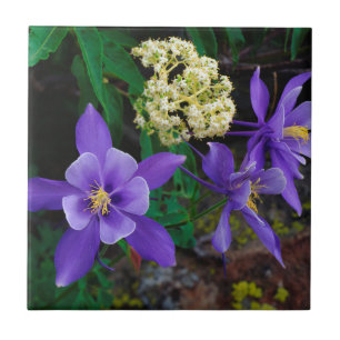 Mutante Akelei-Wildblumen Fliese