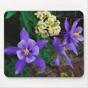 Mutante Akelei-Wildblumen Mousepad
