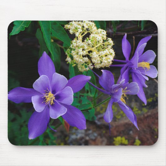 Mutante Akelei-Wildblumen Mousepad (Vorne)