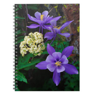 Mutante Akelei-Wildblumen Notizblock