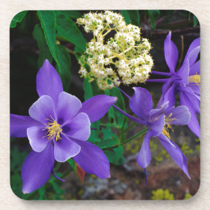 Mutante Akelei-Wildblumen Untersetzer
