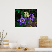 Mutante Columbine-Wildblumen Poster (Küche)