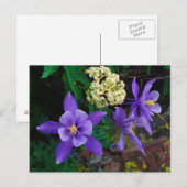 Mutante Columbine-Wildblumen Postkarte (Vorne/Hinten)