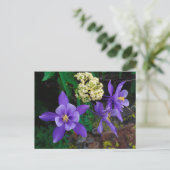 Mutante Columbine-Wildblumen Postkarte (Stehend Vorderseite)