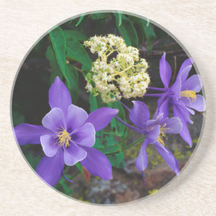 Mutante Wildblumen Untersetzer