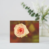 Mute Rose Postkarte (Stehend Vorderseite)