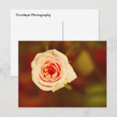 Mute Rose Postkarte (Vorne/Hinten)