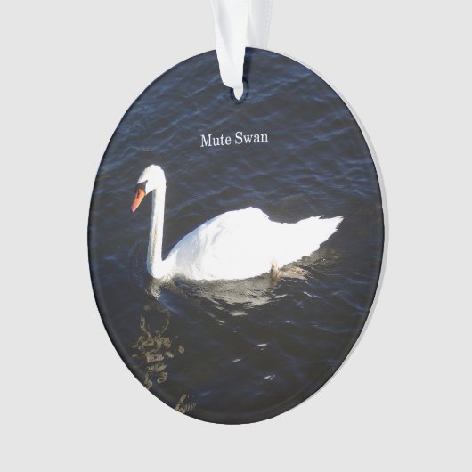 Mute Swan Acrylschmuck Ornament (Vorderseite)