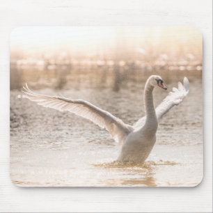 Mute Swan am Morgen Licht Mousepad