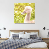 Mute Swan Cygnet Leinwanddruck (Insitu (Schlafzimmer))