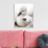 Mute Swan Cygnets Leinwanddruck (Insitu (Wohnzimmer))