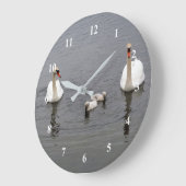 Mute Swan Cygnets Water Foto Große Wanduhr (Winkel)