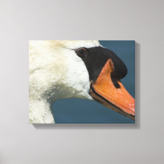 Mute Swan - Eine Kunstdruckerei Leinwanddruck