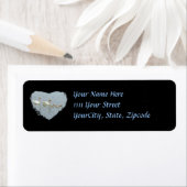 Mute Swan Famly (Insitu)