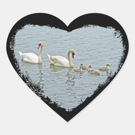 Mute Swan Famly Herz-Aufkleber (Vorderseite)
