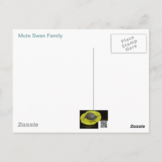 Mute Swan Famly Postkarte (Rückseite)