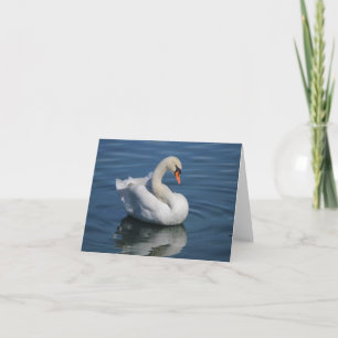 Mute Swan Foto Faltkarte