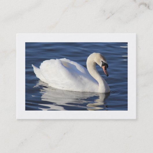 Mute Swan (grenzt) Visitenkarte (Vorderseite)