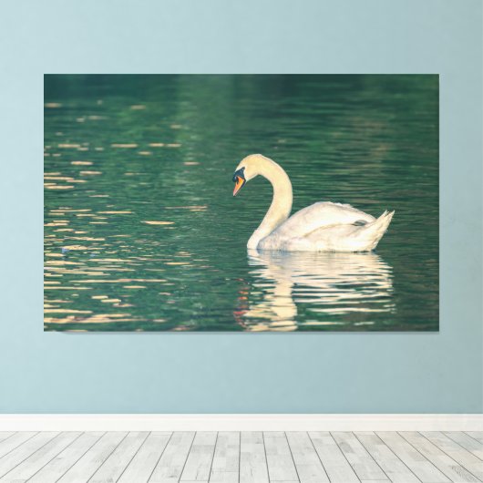 Mute Swan Leinwanddruck (Insitu (Holzboden))