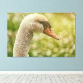 Mute Swan Leinwanddruck (Insitu (Holzboden))