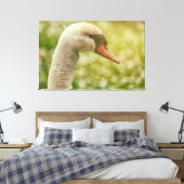 Mute Swan Leinwanddruck (Insitu (Schlafzimmer))
