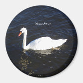Mute Swan-Magnet Magnet (Vorne)