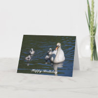 Mute Swan mit Cygnets Birthday Card