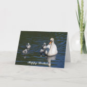 Mute Swan mit Cygnets Birthday Card Karte (Vorderseite)