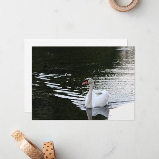 Mute Swan Mitteilungskarte (Vorderseite/Rückseite Beispiel)