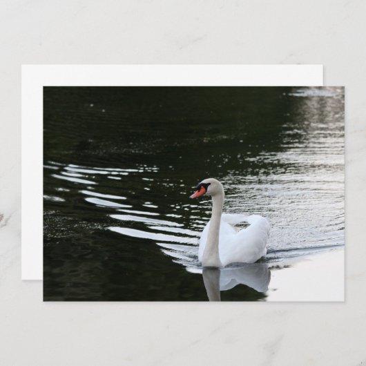 Mute Swan Mitteilungskarte (Vorne/Hinten)